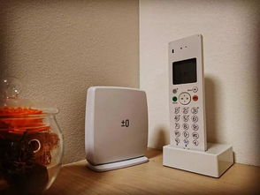 日本主婦最?lèi)?ài)用的5個(gè)高顏值家電品牌