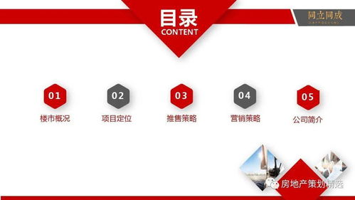 房地產營銷策劃全流程提案與信息咨詢服務