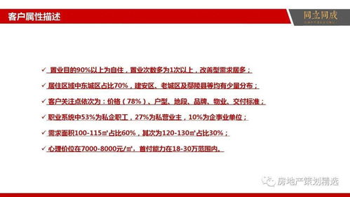 房地產營銷策劃與信息咨詢全面解決方案