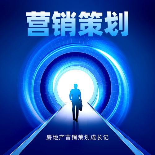 房地產(chǎn)營銷策劃成長記 從拓荒時代到精細化運營的蛻變之路