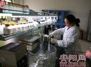 河南金百合 以微觀世界探秘驅(qū)動(dòng)生物科技創(chuàng)新，開拓市場(chǎng)營(yíng)銷新藍(lán)海