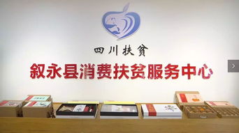 消費扶貧助力脫貧攻堅 勞務服務的創(chuàng)新路徑與深遠影響